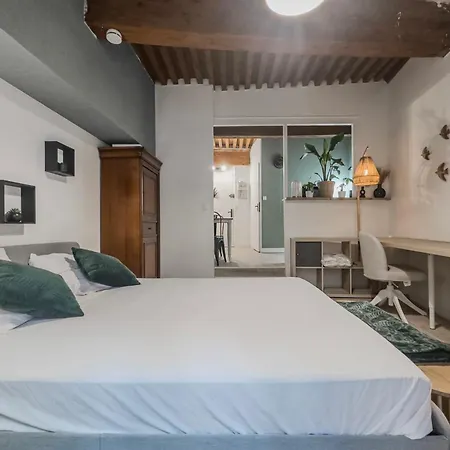 #ie Le Boise Hypercentre גרנובל