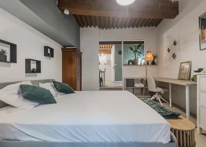 #ie Le Boise Hypercentre גרנובל