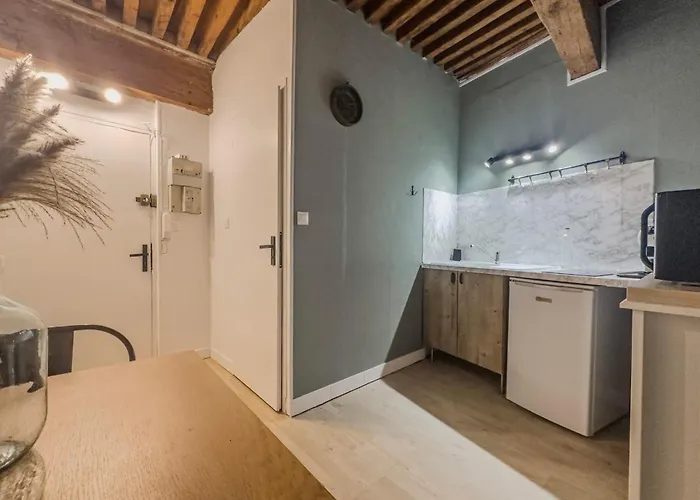 דירה #ie Le Boise Hypercentre גרנובל