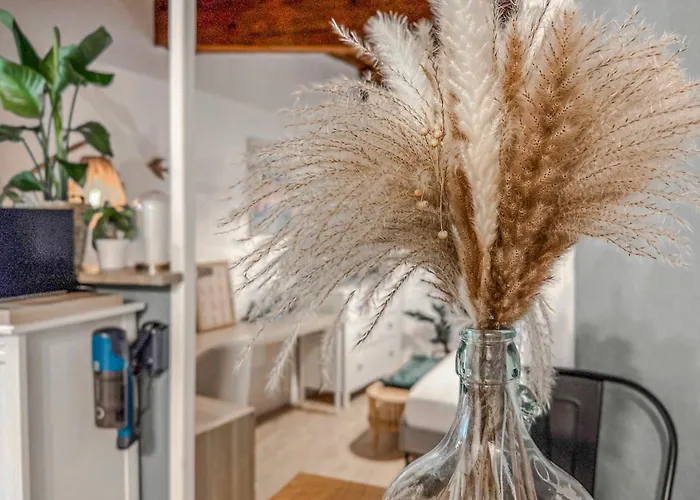 #ie Le Boise Hypercentre