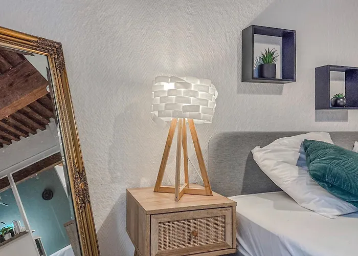 #ie Le Boise Hypercentre גרנובל