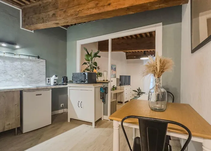 #ie Le Boise Hypercentre Apartment Grenoble