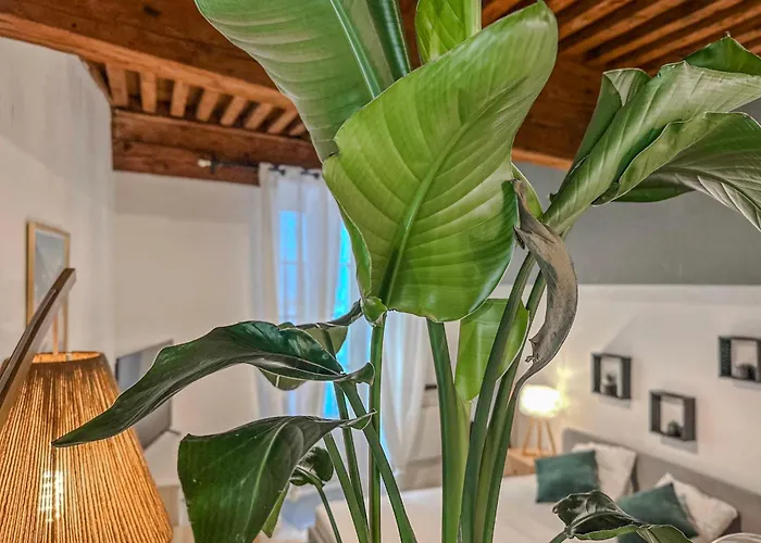 #ie Le Boise Hypercentre Apartment Grenoble