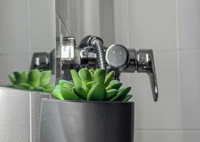 #ie Le Boise Hypercentre Grenoble